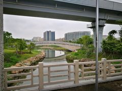 -宝安西湾红树林湿地公园