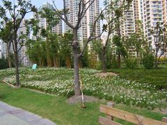 -苏州河梦清园环保主题公园