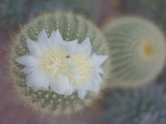 -南通洲际绿博园