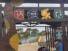 -上海长兴岛郊野公园