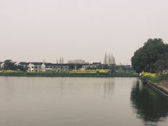 -鹅湖玫瑰文化园
