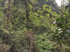-青城山
