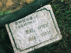 -梧桐山风景名胜区