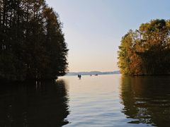 -上海海湾国家森林公园