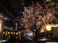 -绿茶餐厅(松江万达店)