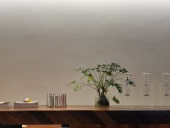 -Seesaw Coffee(上海尚悦湾店)