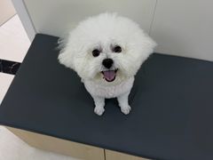 -美联众合动物医院·24h京西诊疗中心