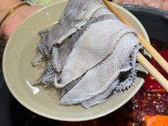 -阳阳老火锅(小南门店)