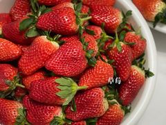 -堤口果品批发市场