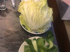 -鑫龙火锅城(青岛分店)