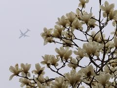 -嘉北郊野公园