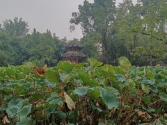 -房湖公园