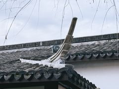 -沙家浜风景区