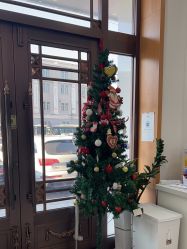 -靓芙泉专研痘痘肌