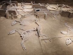 -洛阳周王城天子驾六博物馆