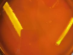 -大胖骨汤火锅(裕华店)