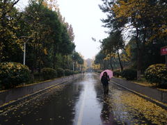 -陕西师范大学(雁塔校区)