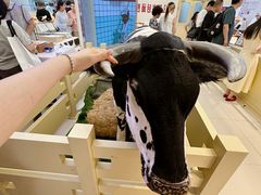 -红星前进面包牛奶公司(君太店)