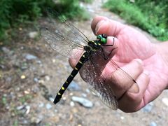 -碓臼峪自然风景区