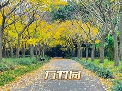 -上海共青森林公园