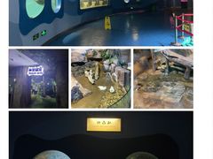 -苏州海洋馆