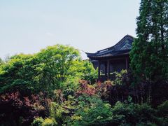 -春兰国宾馆(凤城河风景区老街店)