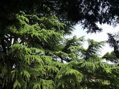 -陕西师范大学(雁塔校区)