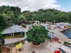-南诏风情岛