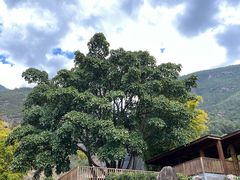 -苍山世界地质公园·石门关大峡谷