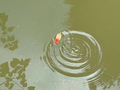 -同里国家湿地公园