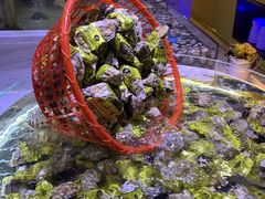 -聚盛源蒸汽海鲜火锅烤肉自助(巨川金海岸购物广场店)