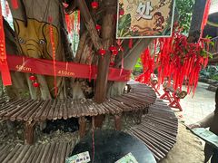 -呀路古热带植物园