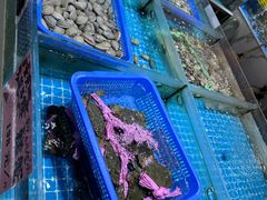-皮记海鲜1995(寮步店)