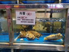 -宏佳丰味蟹馆(洛溪店)