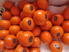 -西北农副产品中心批发市场(广安路店)