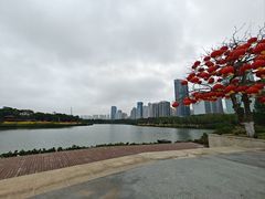 -万绿园