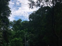 -火炉山森林公园