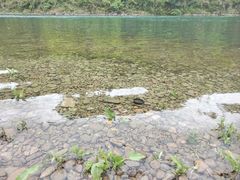 -楠溪江风景名胜区