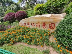 -东莞植物园