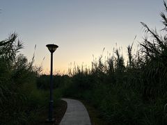 -长广溪湿地公园