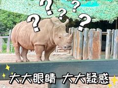 -广州动物园