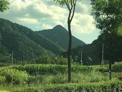 -关山草原