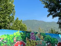 -北京西山国家森林公园