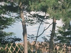 -小麦岛公园