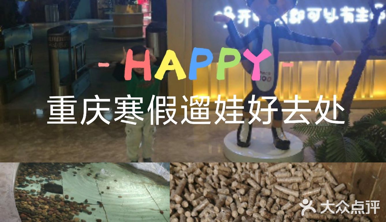 重庆室内看萌宠[吐]寒假遛娃好去处