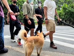 -乌鲁木齐路老洋房