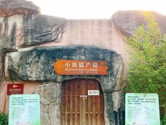 景点-成都大熊猫繁育研究基地