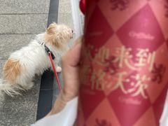 -奈雪的茶(金鹰广场店)