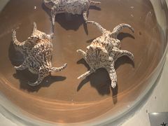 -青岛贝壳博物馆