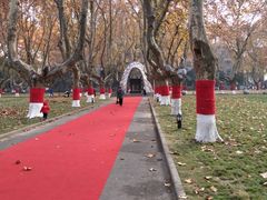 -东南大学(九龙湖校区)